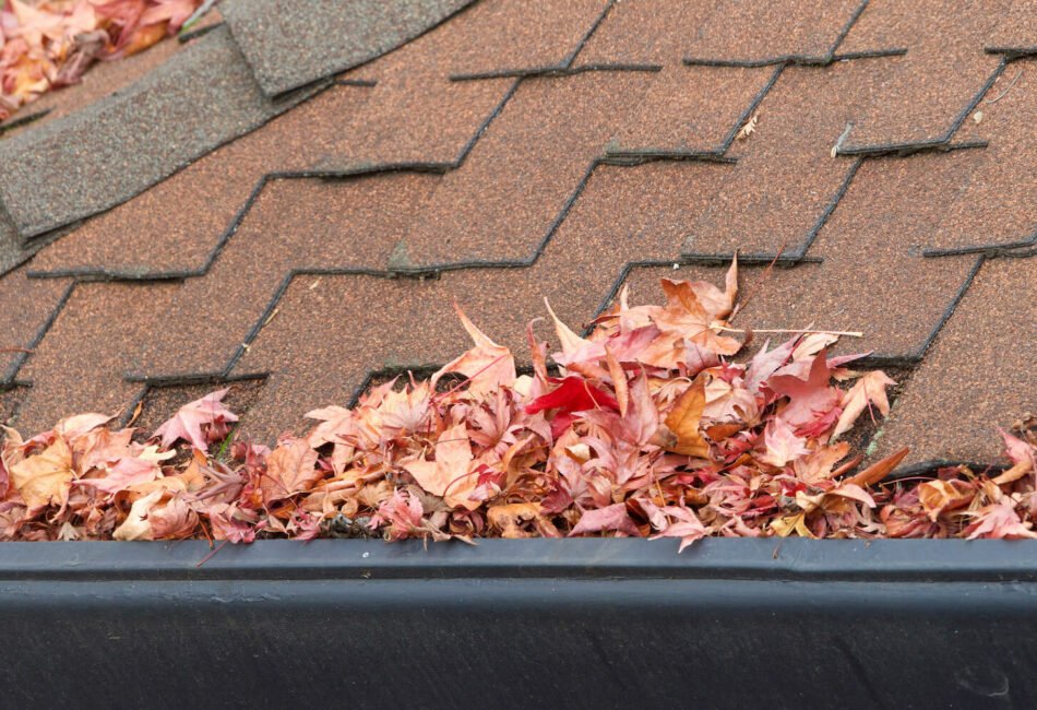 Autumn Roofing Resilience: Tackling Seasonal Challenges for a Secure Home